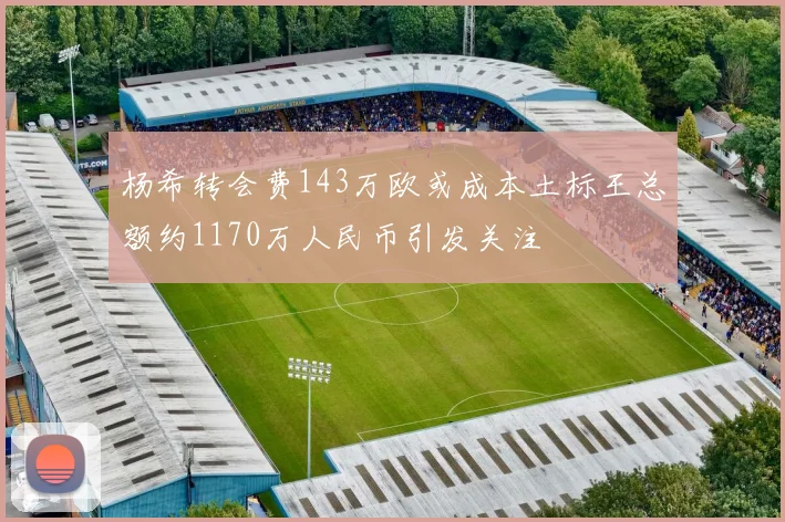 杨希转会费143万欧或成本土标王总额约1170万人民币引发关注